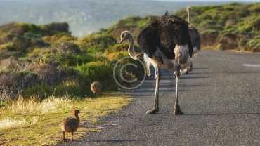 Reports help us track the ecological situation